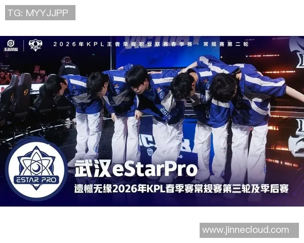 王者荣耀战队WE的默契配合与战术分析探讨